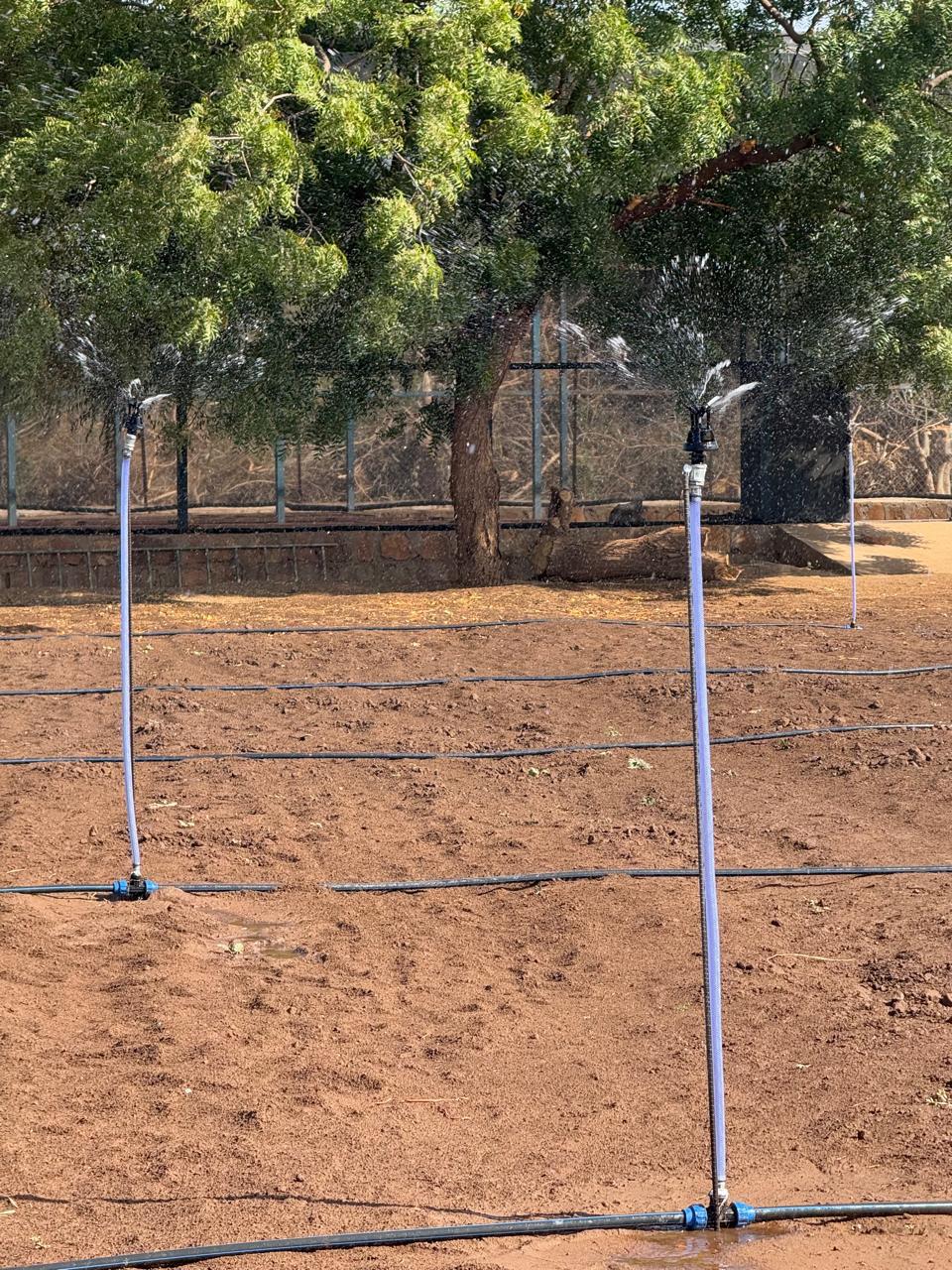 about-img IMG 20250203 WA00061