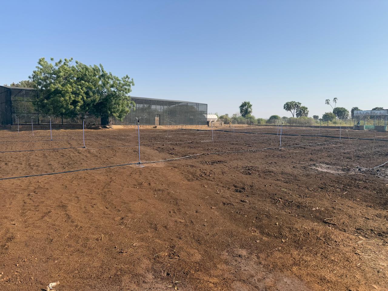 services-04 IMG 20250203 WA00081