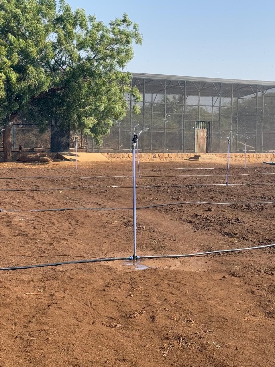 services-03 IMG 20250203 WA00091