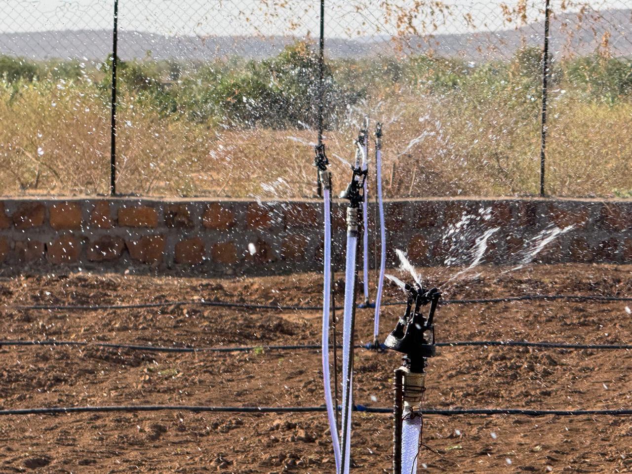 services-02 IMG 20250203 WA00101